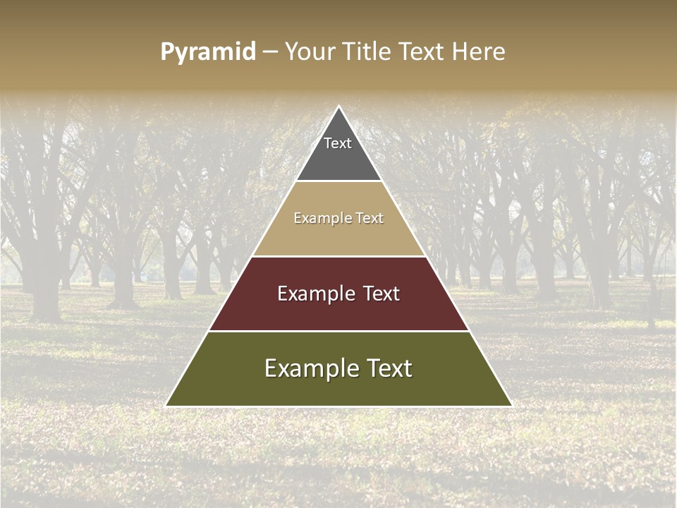 A Park Filled With Lots Of Trees Covered In Leaves PowerPoint Template
