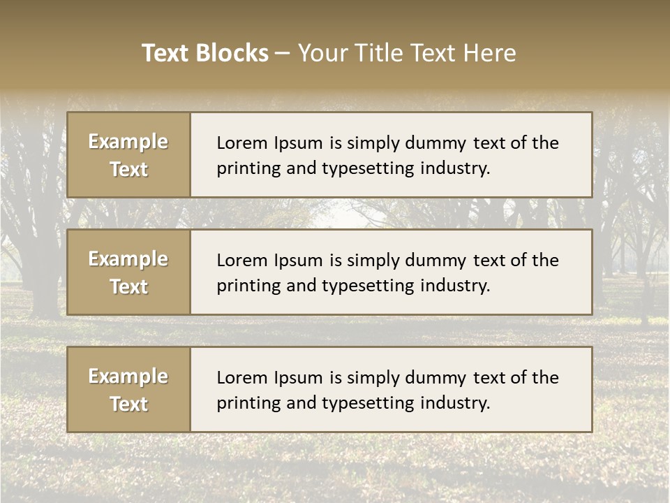 A Park Filled With Lots Of Trees Covered In Leaves PowerPoint Template
