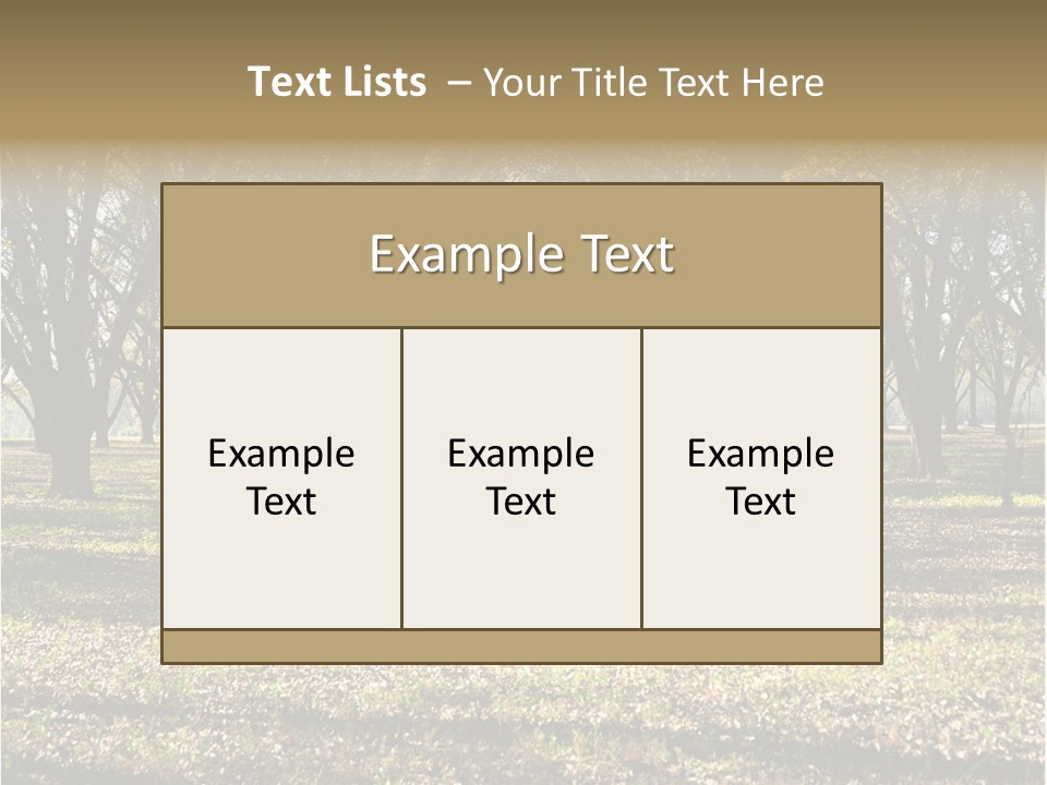 A Park Filled With Lots Of Trees Covered In Leaves PowerPoint Template