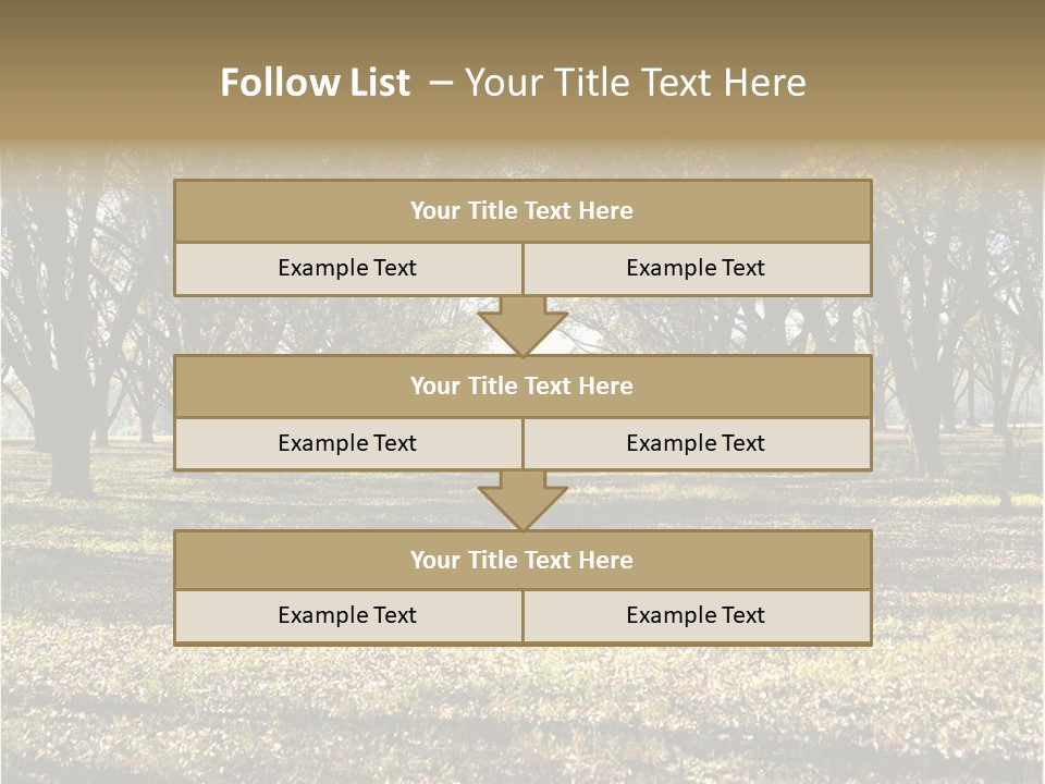 A Park Filled With Lots Of Trees Covered In Leaves PowerPoint Template