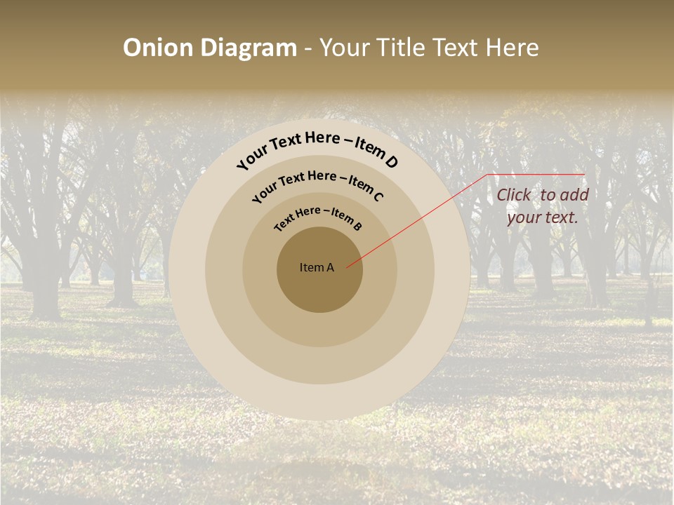 A Park Filled With Lots Of Trees Covered In Leaves PowerPoint Template