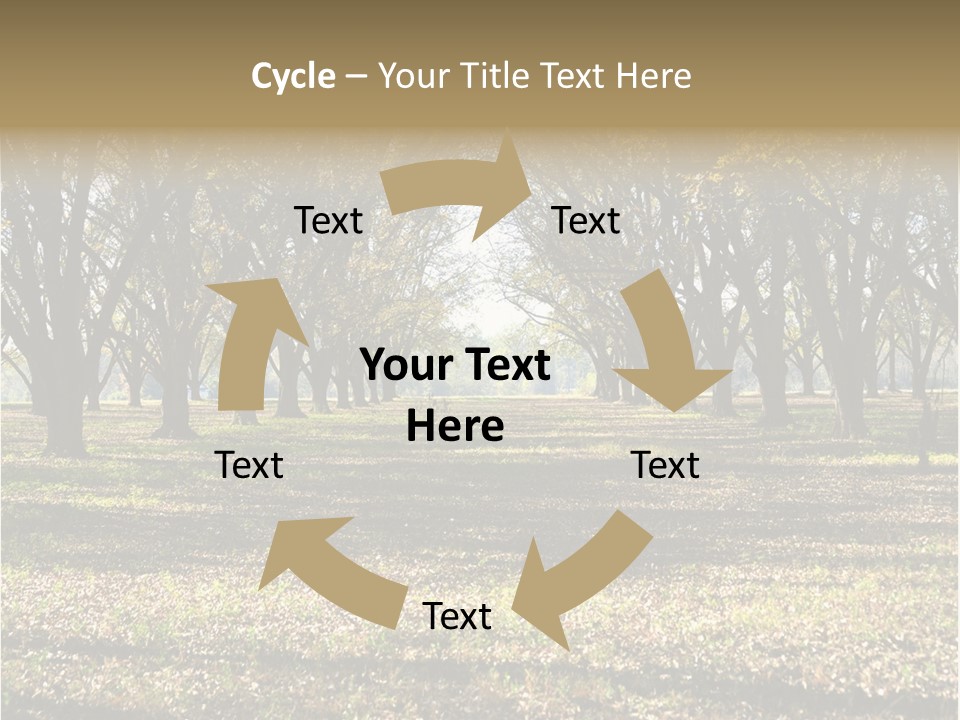 A Park Filled With Lots Of Trees Covered In Leaves PowerPoint Template