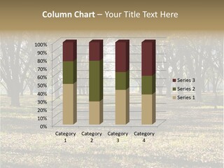A Park Filled With Lots Of Trees Covered In Leaves PowerPoint Template
