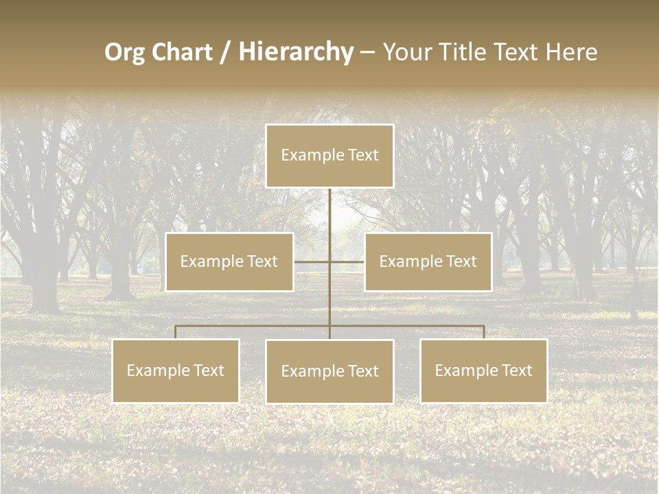 A Park Filled With Lots Of Trees Covered In Leaves PowerPoint Template