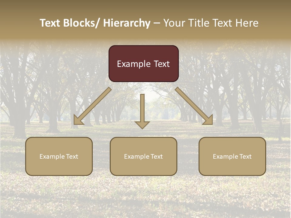 A Park Filled With Lots Of Trees Covered In Leaves PowerPoint Template