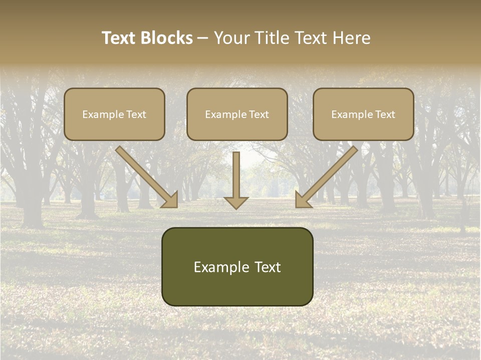 A Park Filled With Lots Of Trees Covered In Leaves PowerPoint Template