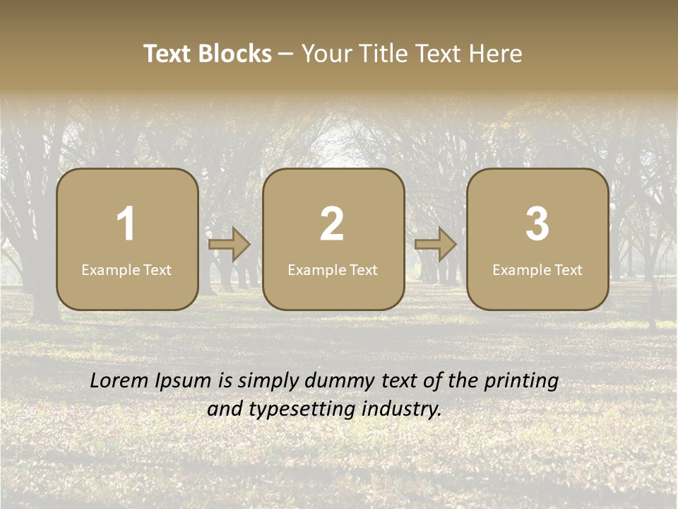 A Park Filled With Lots Of Trees Covered In Leaves PowerPoint Template