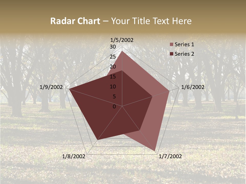 A Park Filled With Lots Of Trees Covered In Leaves PowerPoint Template