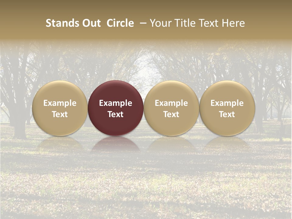 A Park Filled With Lots Of Trees Covered In Leaves PowerPoint Template