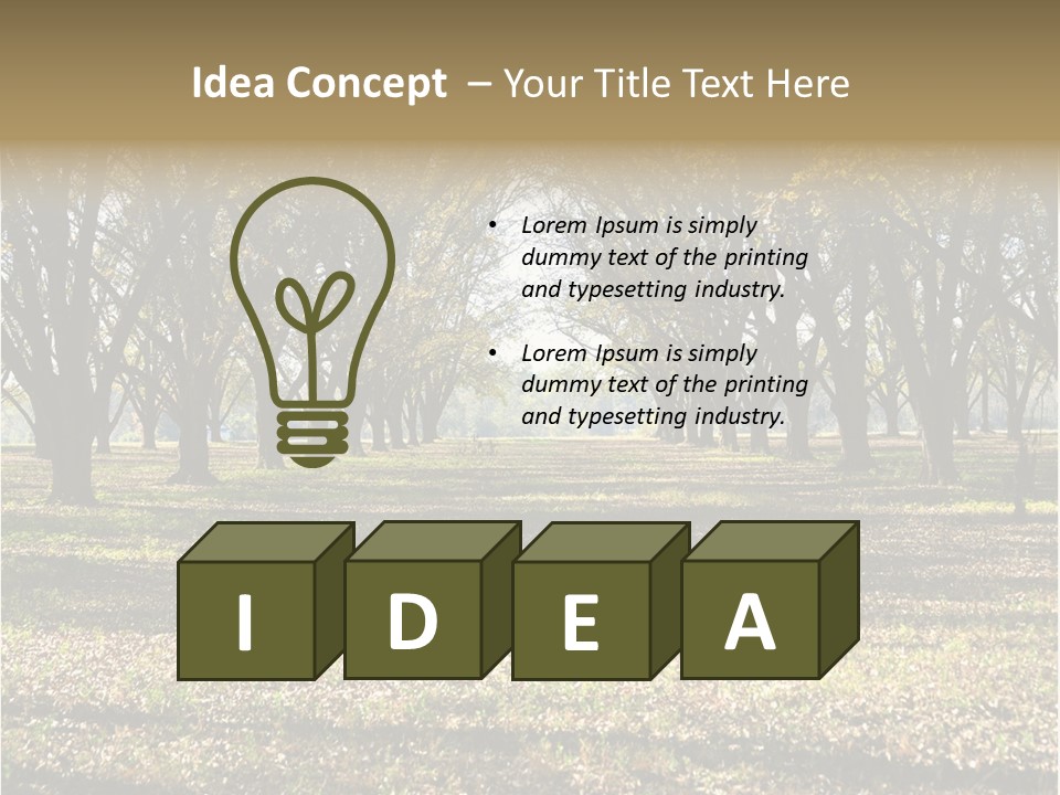 A Park Filled With Lots Of Trees Covered In Leaves PowerPoint Template