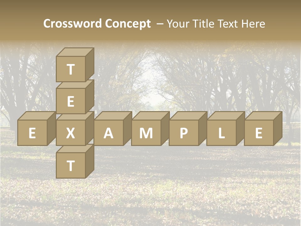 A Park Filled With Lots Of Trees Covered In Leaves PowerPoint Template