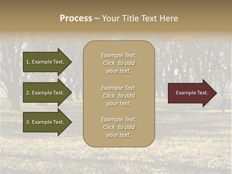 A Park Filled With Lots Of Trees Covered In Leaves PowerPoint Template