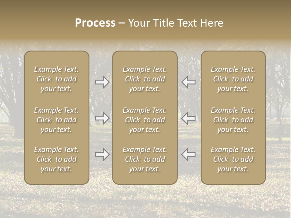 A Park Filled With Lots Of Trees Covered In Leaves PowerPoint Template