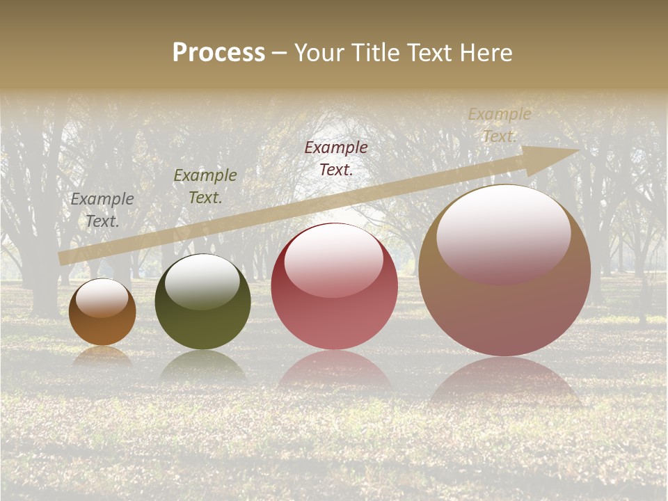 A Park Filled With Lots Of Trees Covered In Leaves PowerPoint Template