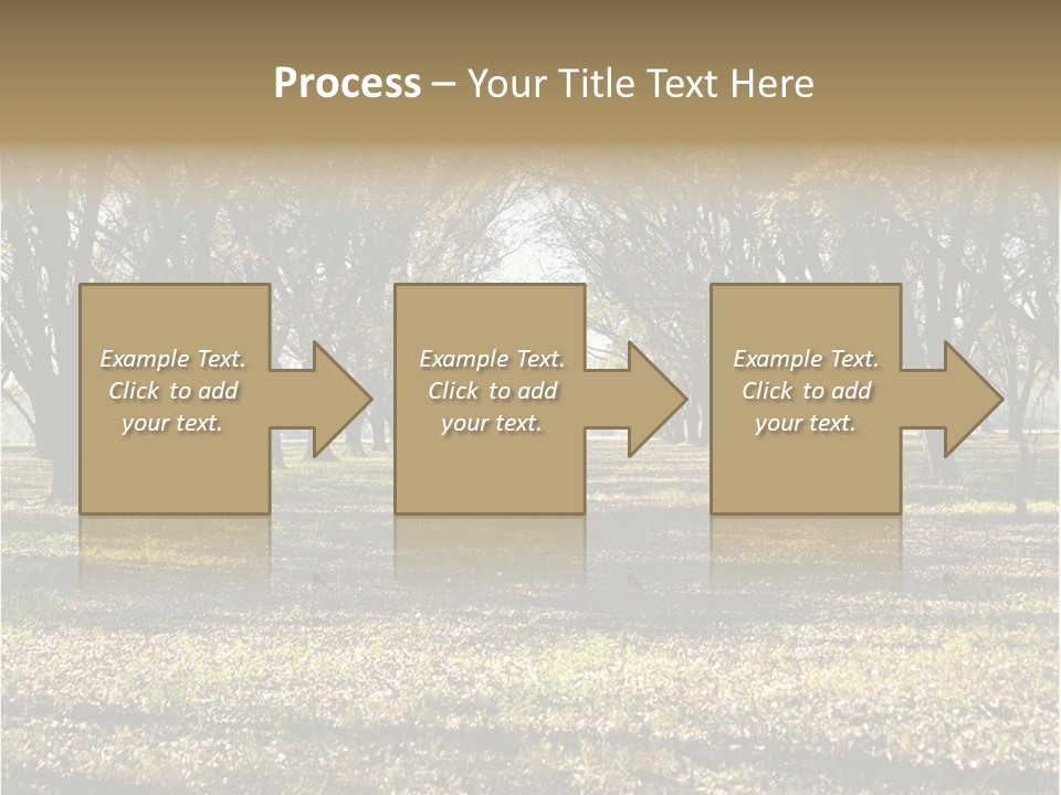 A Park Filled With Lots Of Trees Covered In Leaves PowerPoint Template