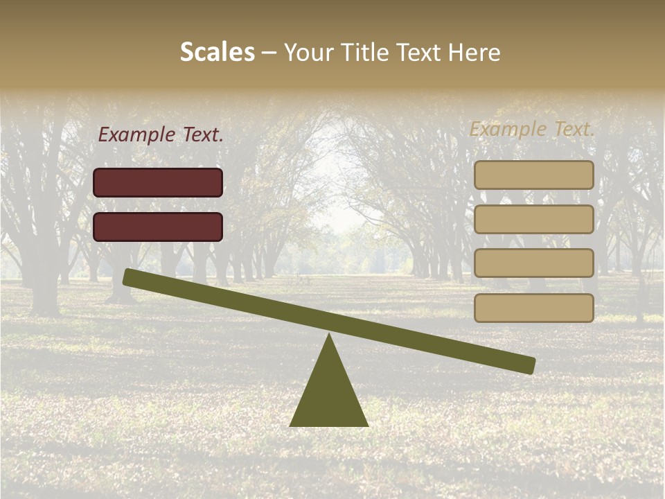 A Park Filled With Lots Of Trees Covered In Leaves PowerPoint Template