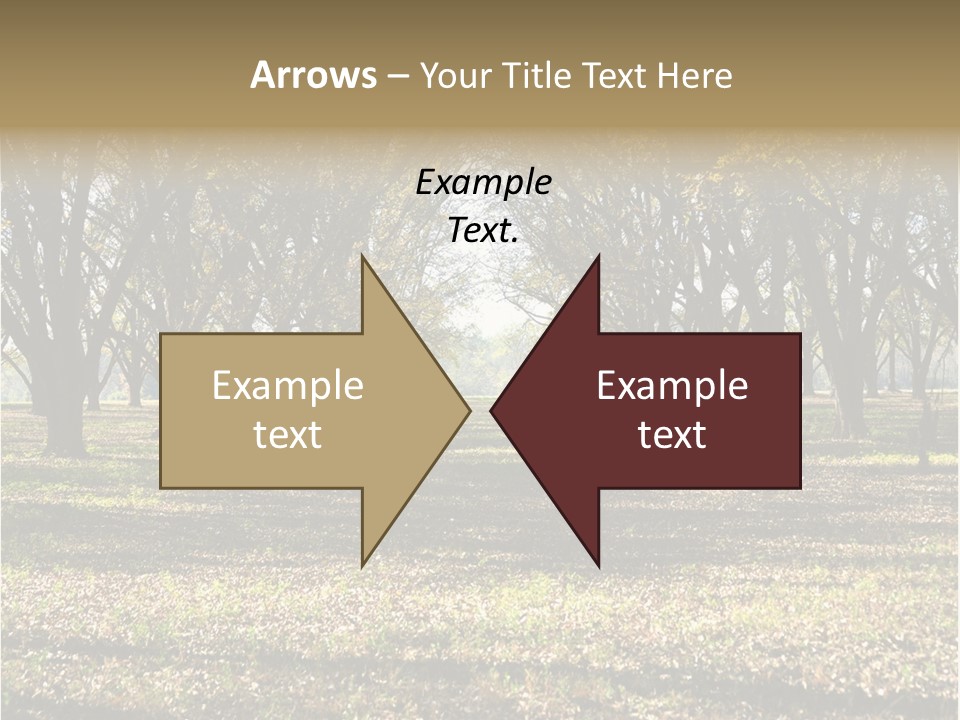 A Park Filled With Lots Of Trees Covered In Leaves PowerPoint Template