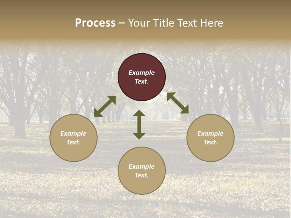 A Park Filled With Lots Of Trees Covered In Leaves PowerPoint Template