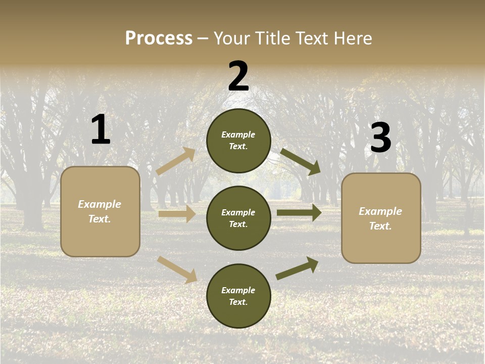 A Park Filled With Lots Of Trees Covered In Leaves PowerPoint Template