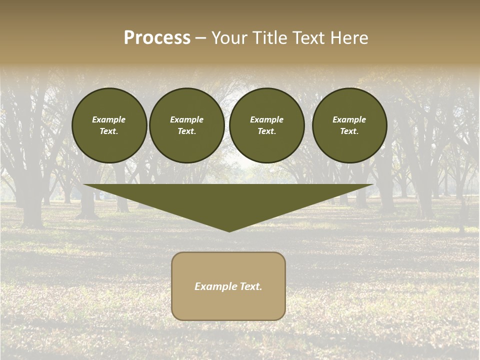 A Park Filled With Lots Of Trees Covered In Leaves PowerPoint Template