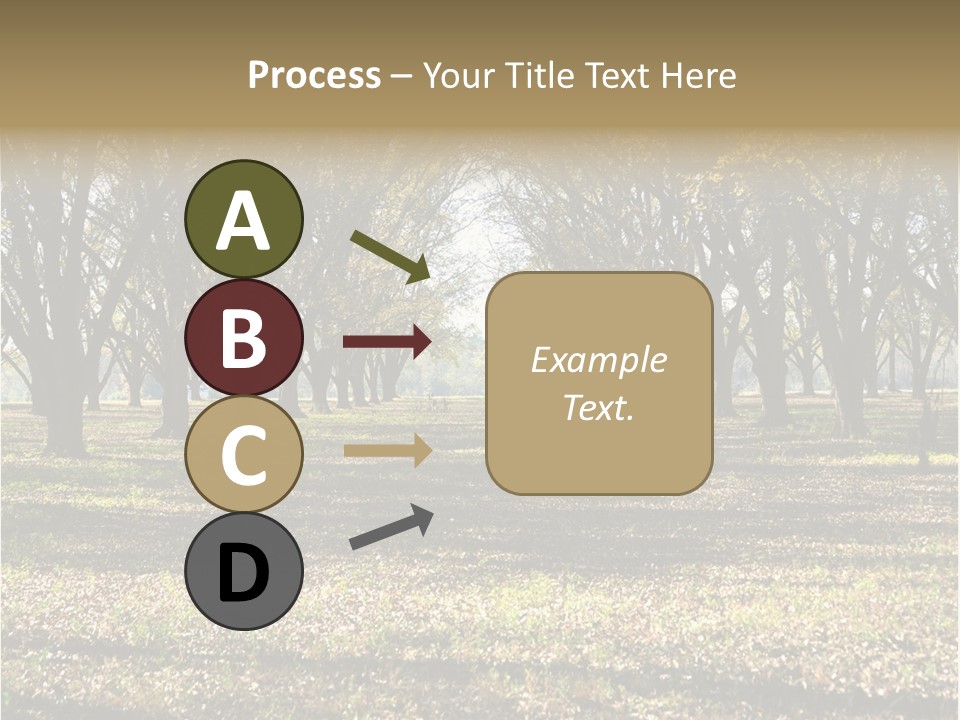 A Park Filled With Lots Of Trees Covered In Leaves PowerPoint Template