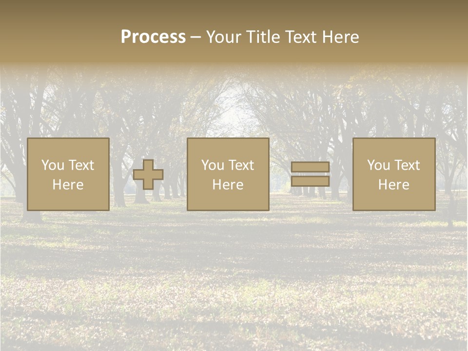 A Park Filled With Lots Of Trees Covered In Leaves PowerPoint Template
