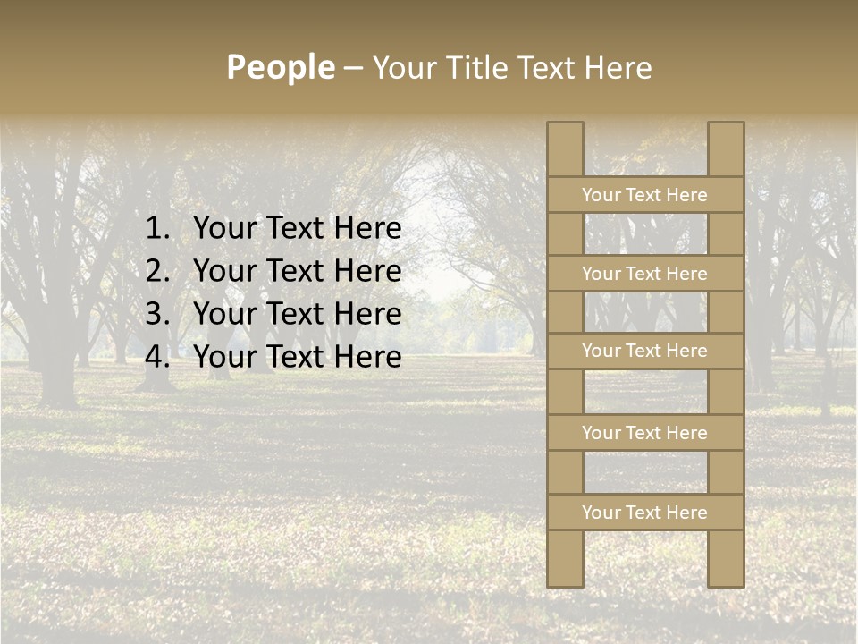 A Park Filled With Lots Of Trees Covered In Leaves PowerPoint Template