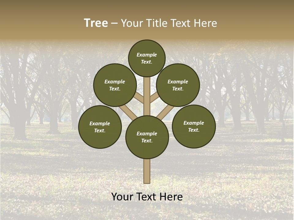 A Park Filled With Lots Of Trees Covered In Leaves PowerPoint Template