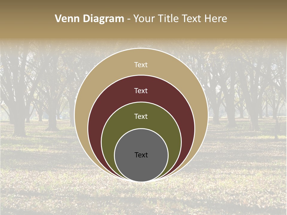 A Park Filled With Lots Of Trees Covered In Leaves PowerPoint Template