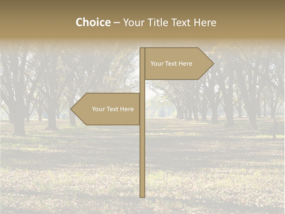 A Park Filled With Lots Of Trees Covered In Leaves PowerPoint Template