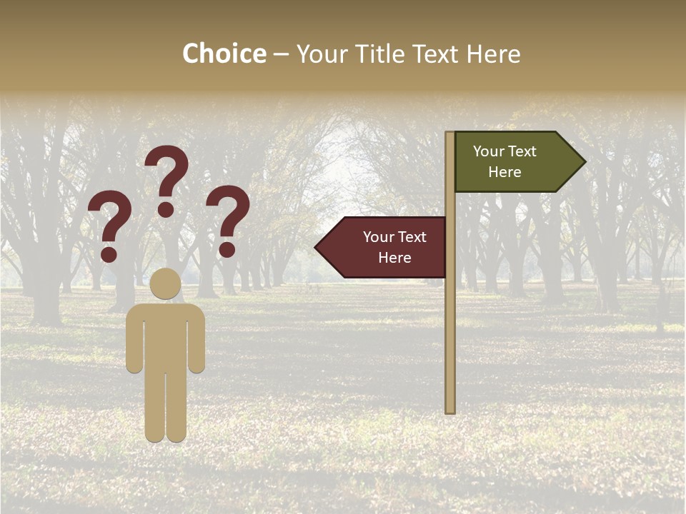 A Park Filled With Lots Of Trees Covered In Leaves PowerPoint Template