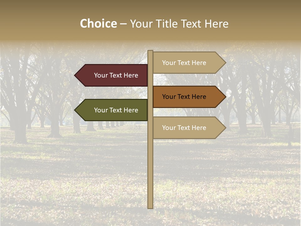 A Park Filled With Lots Of Trees Covered In Leaves PowerPoint Template