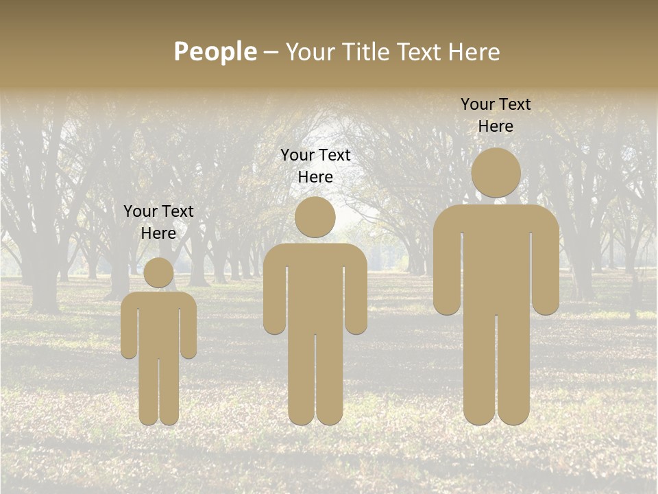 A Park Filled With Lots Of Trees Covered In Leaves PowerPoint Template