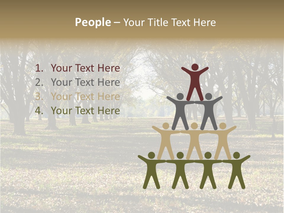 A Park Filled With Lots Of Trees Covered In Leaves PowerPoint Template