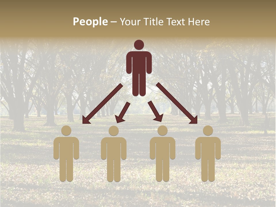 A Park Filled With Lots Of Trees Covered In Leaves PowerPoint Template