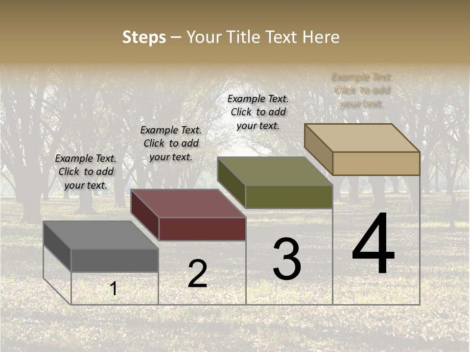 A Park Filled With Lots Of Trees Covered In Leaves PowerPoint Template