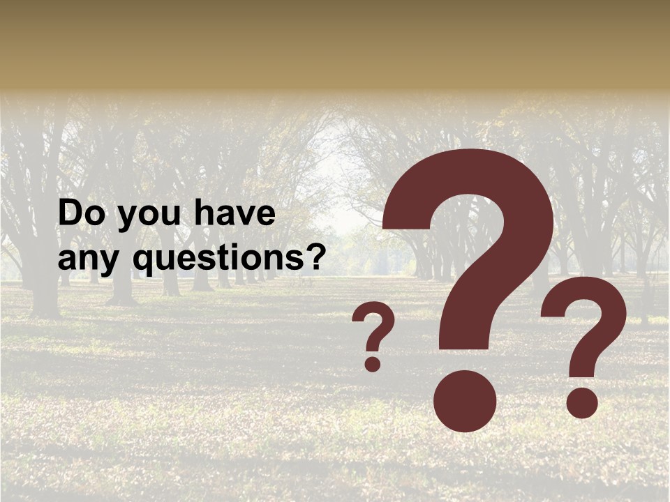 A Park Filled With Lots Of Trees Covered In Leaves PowerPoint Template