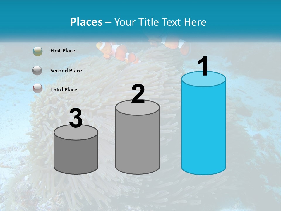 Two Clown Fish On A Coral Powerpoint Template PowerPoint Template