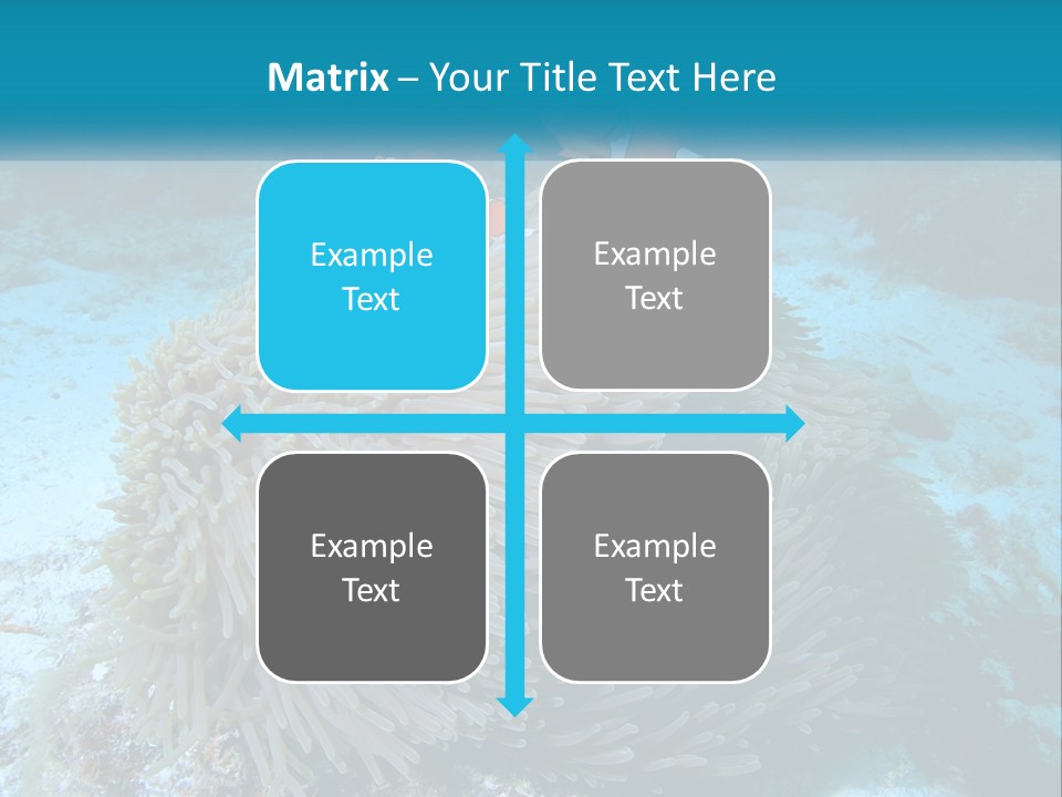 Two Clown Fish On A Coral Powerpoint Template PowerPoint Template