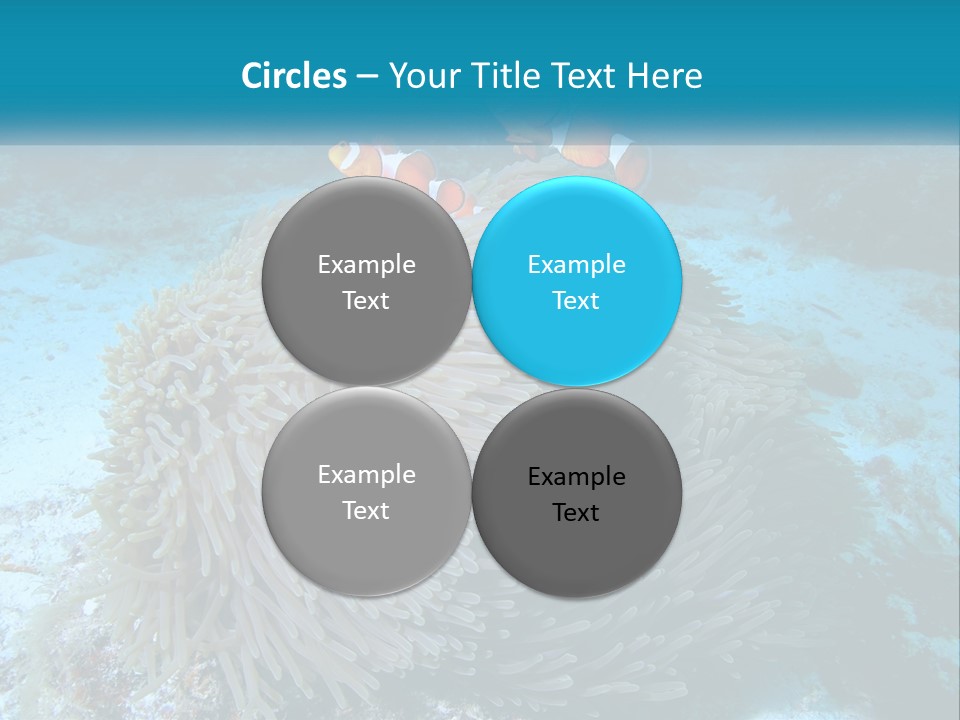 Two Clown Fish On A Coral Powerpoint Template PowerPoint Template