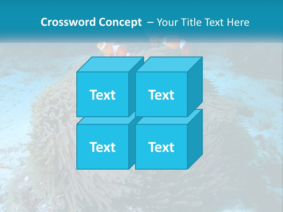 Two Clown Fish On A Coral Powerpoint Template PowerPoint Template