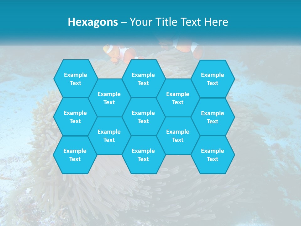 Two Clown Fish On A Coral Powerpoint Template PowerPoint Template