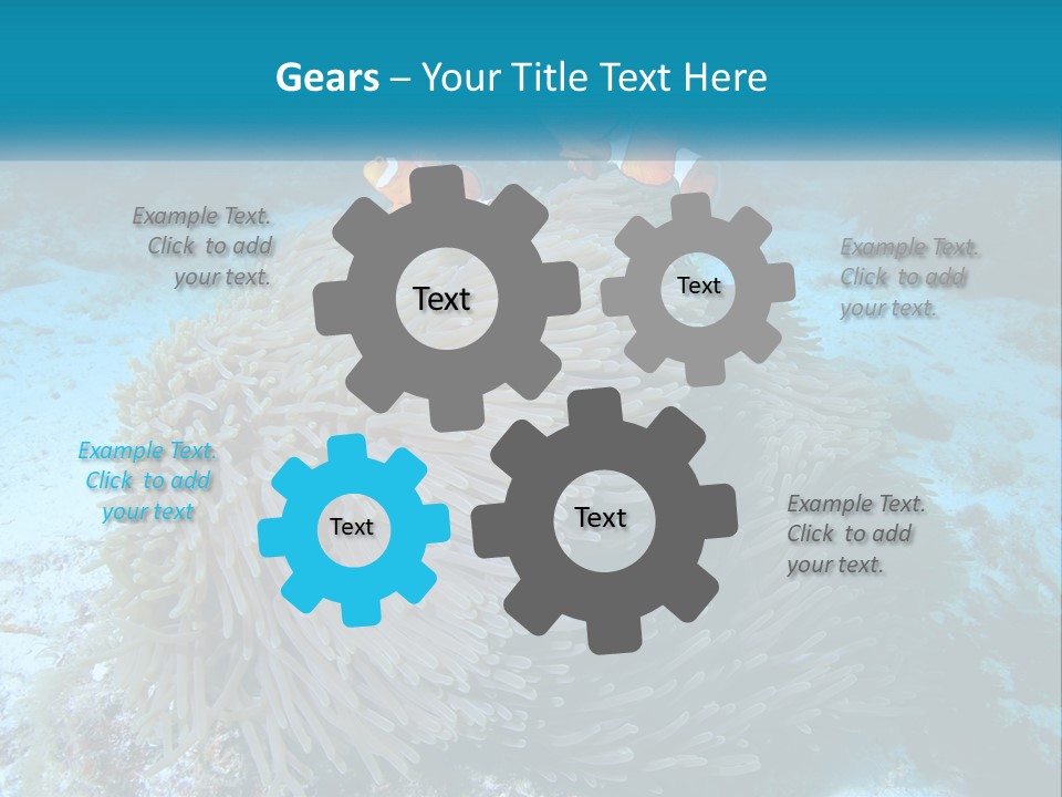 Two Clown Fish On A Coral Powerpoint Template PowerPoint Template