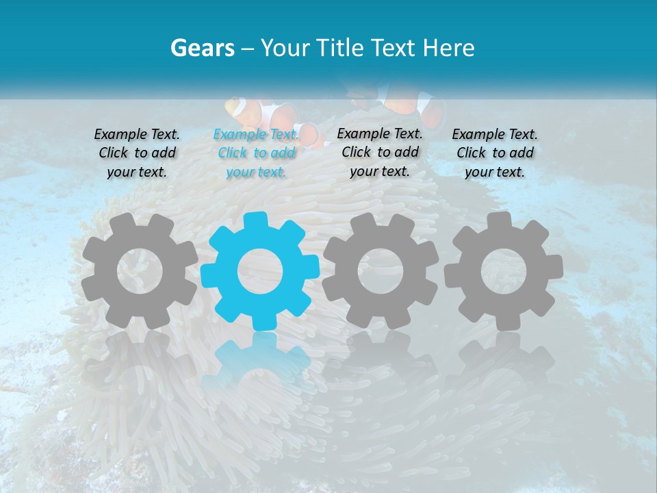 Two Clown Fish On A Coral Powerpoint Template PowerPoint Template