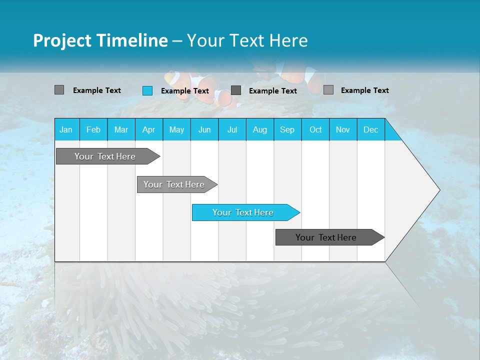 Two Clown Fish On A Coral Powerpoint Template PowerPoint Template