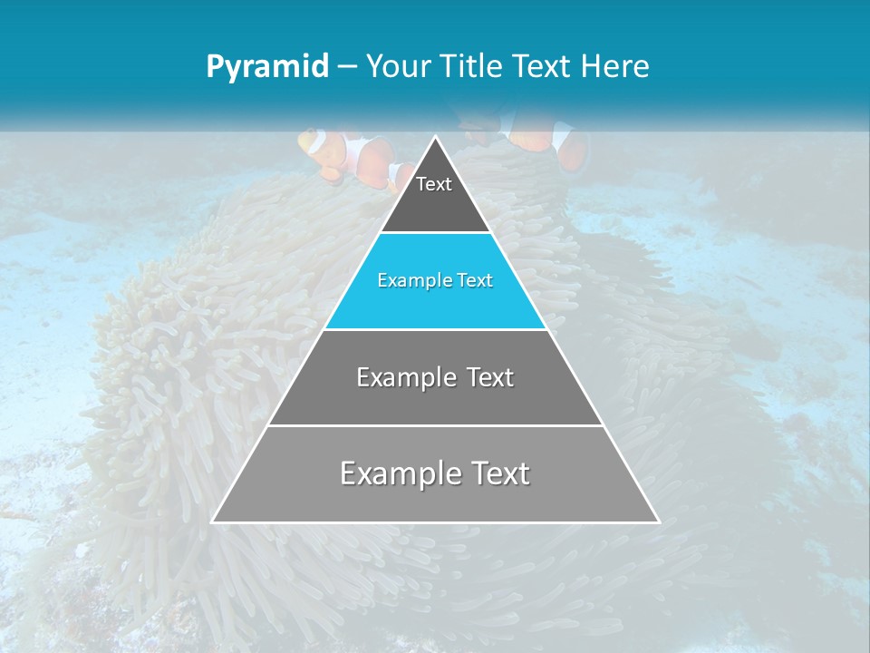Two Clown Fish On A Coral Powerpoint Template PowerPoint Template