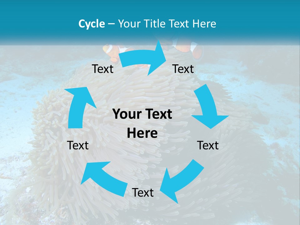 Two Clown Fish On A Coral Powerpoint Template PowerPoint Template