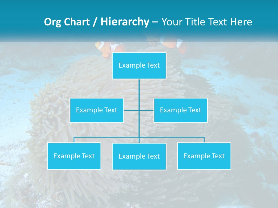 Two Clown Fish On A Coral Powerpoint Template PowerPoint Template