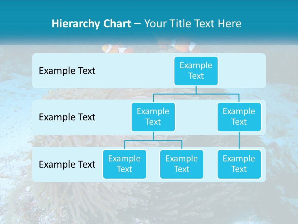 Two Clown Fish On A Coral Powerpoint Template PowerPoint Template