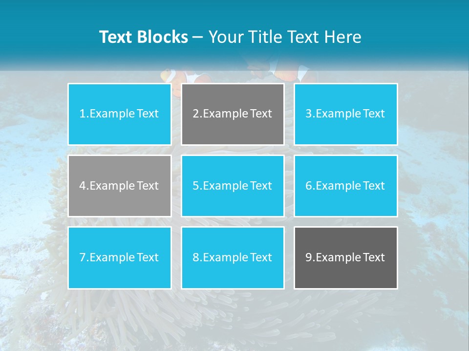 Two Clown Fish On A Coral Powerpoint Template PowerPoint Template